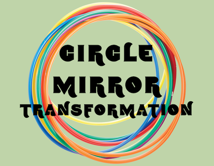 CircleMirror3 copy