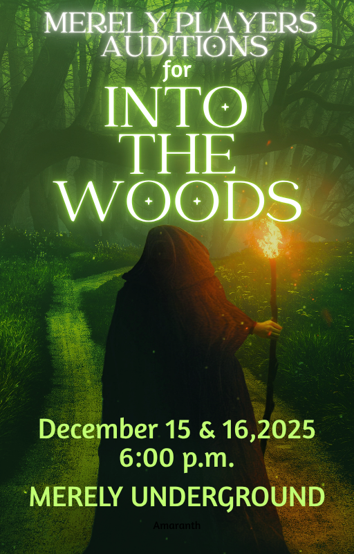 audition graphic into the woods